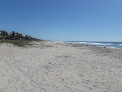 Photo de Playa Los Naranjos avec rivage droit, long