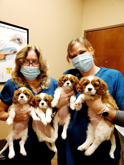 Eye Care for Animals - North Scottsdale