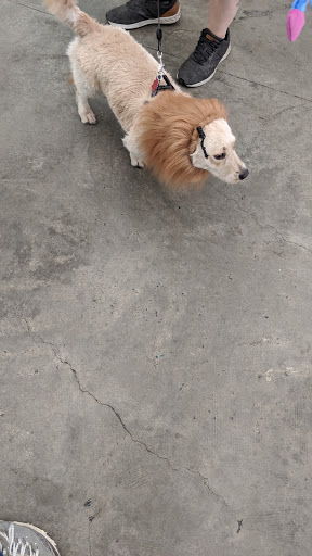 Pet Supply Store «Pet Supplies Plus», reviews and photos, 1411 S Stockton St, Lodi, CA 95240, USA