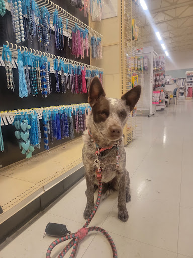 Fabric Store «Jo-Ann Fabrics and Crafts», reviews and photos, 4470 Ontario Mills Pkwy, Ontario, CA 91764, USA