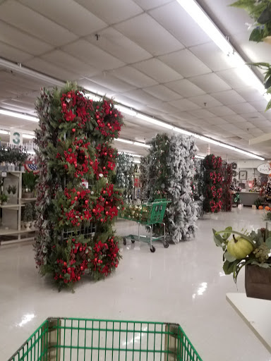 Home Goods Store «Trees n Trends - Henderson, KY», reviews and photos, 1900 US-41 #7, Henderson, KY 42420, USA
