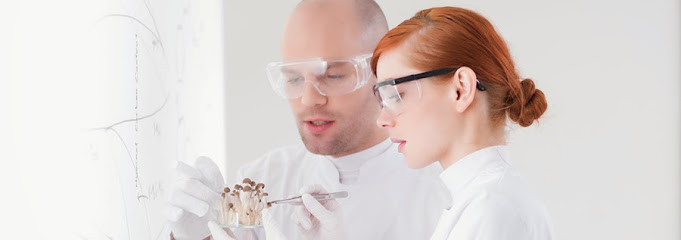 MRCA Mushroom Research Center Austria GmbH