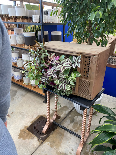 Greenhouse «Wentworth Greenhouses», reviews and photos, 141 Rollins Rd, Rollinsford, NH 03869, USA