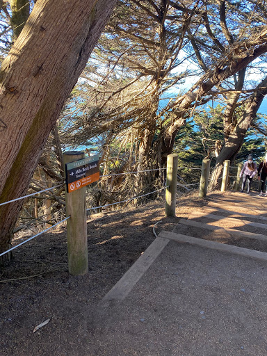 Scenic Spot «Lands End Labyrinth», reviews and photos, Lands End Trail, San Francisco, CA 94121, USA