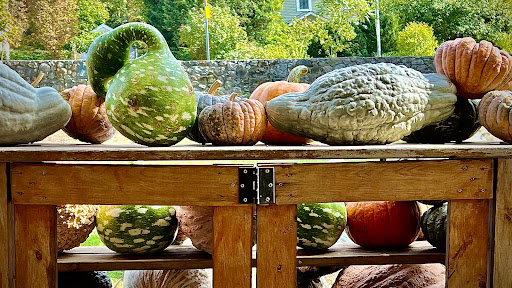 Farm «Langwater Farm», reviews and photos, 209 Washington St, North Easton, MA 02356, USA