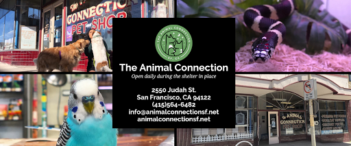 Pet Supply Store «The Animal Connection», reviews and photos, 2550 2550 Judah St & 31st Ave, San Francisco, CA 94122, USA