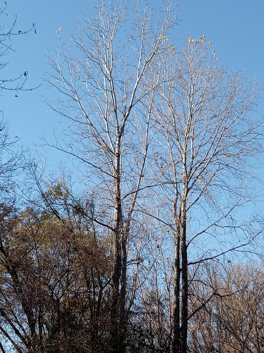 Park «Hines Park», reviews and photos, 7651 N Merriman Rd, Westland, MI 48185, USA