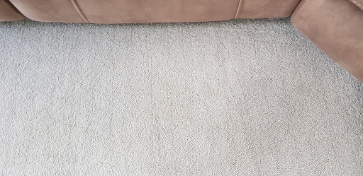 ApexClean Carpet Cleaning Auckland