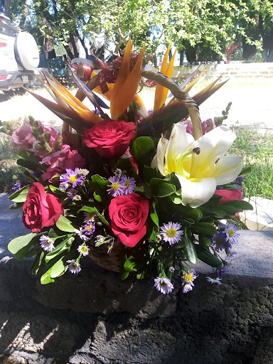 Floreria Jardines De La Piedad florería en  en la zona México