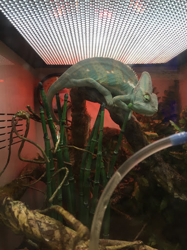 Pet Supply Store «Pet Supplies Plus», reviews and photos, 1137 Annapolis Rd, Odenton, MD 21113, USA