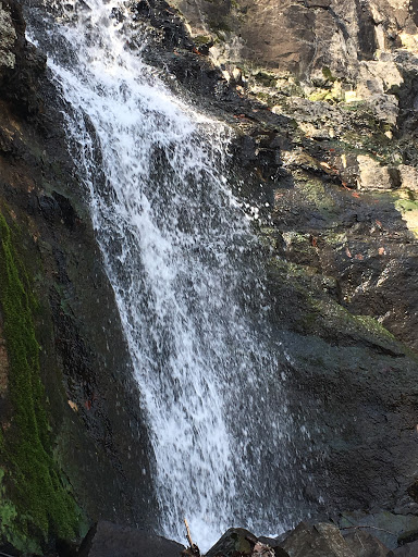 Nature Preserve «Greenbrook Nature Sanctuary», reviews and photos, Green Brook Rd, Tenafly, NJ 07670, USA