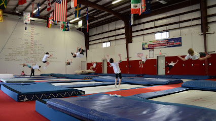 The Trampoline Place