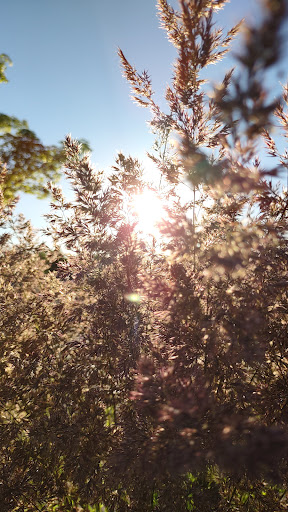 Shopping Mall «Gateway Shopping Center», reviews and photos, 9924 NE Halsey St, Portland, OR 97220, USA