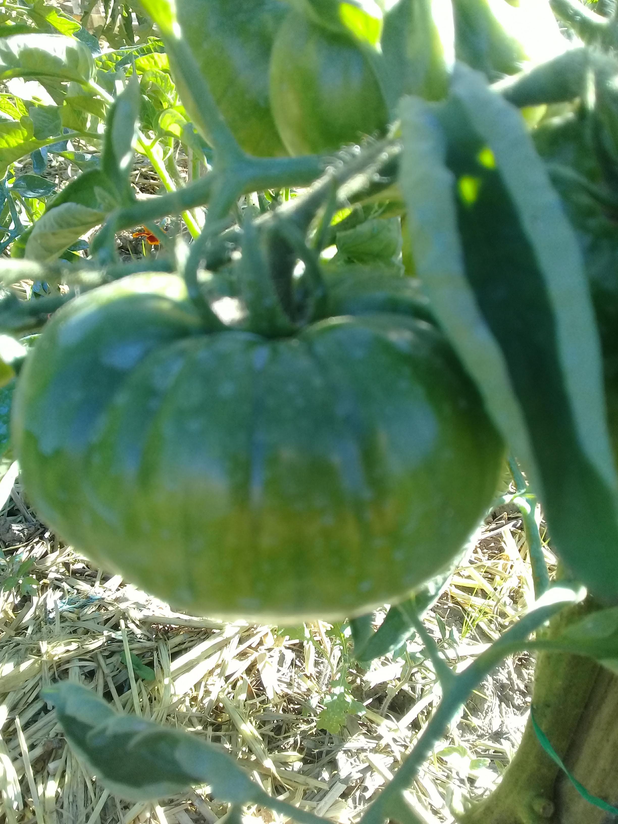 Photo n° 6 de l'avis de catherine.o fait le 01/09/2018 à 16:16