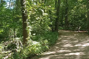 Nature Trails Park image