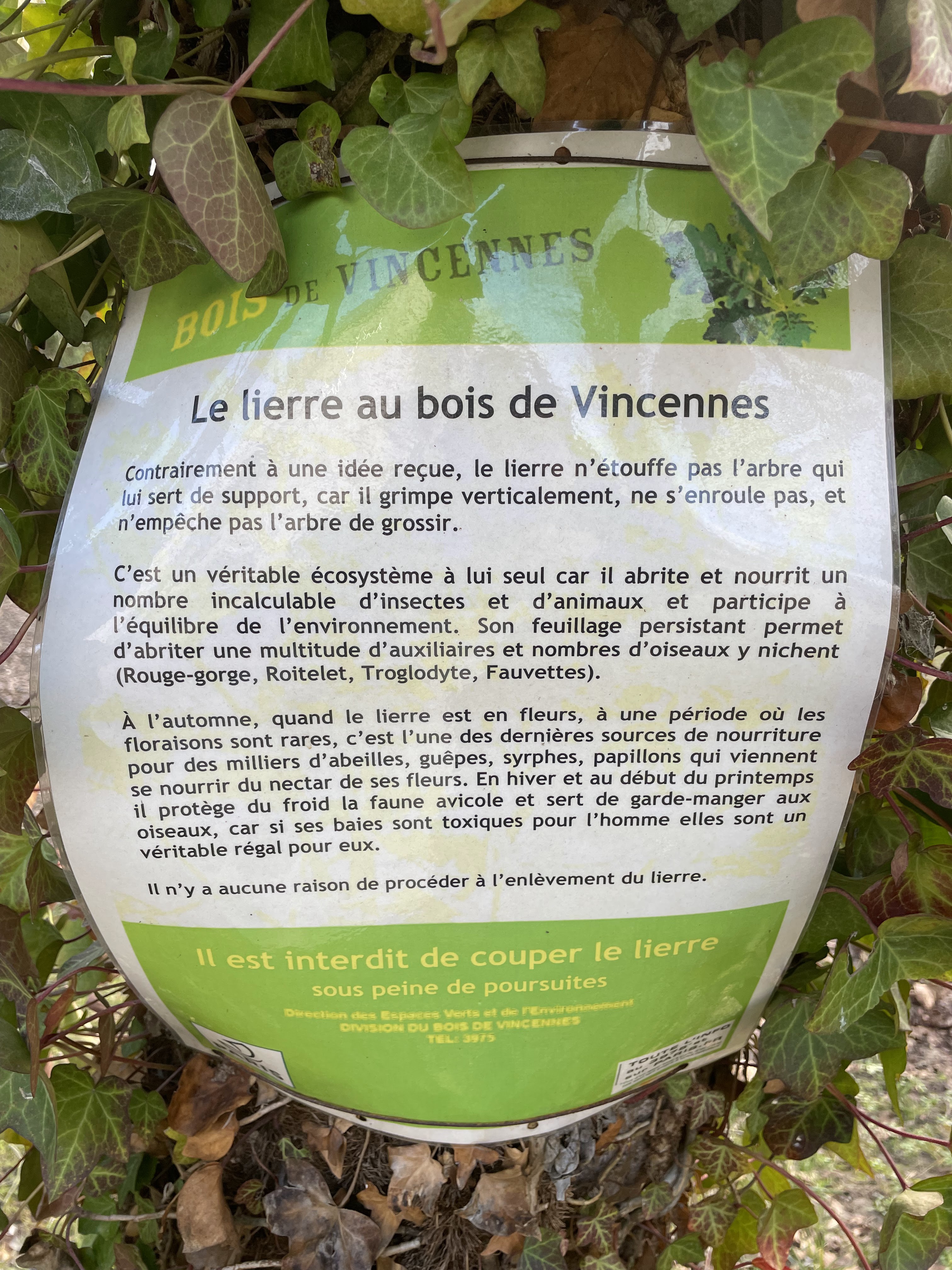 Photo n° 3 de l'avis de Nathalie.o fait le 20/02/2022 à 10:04