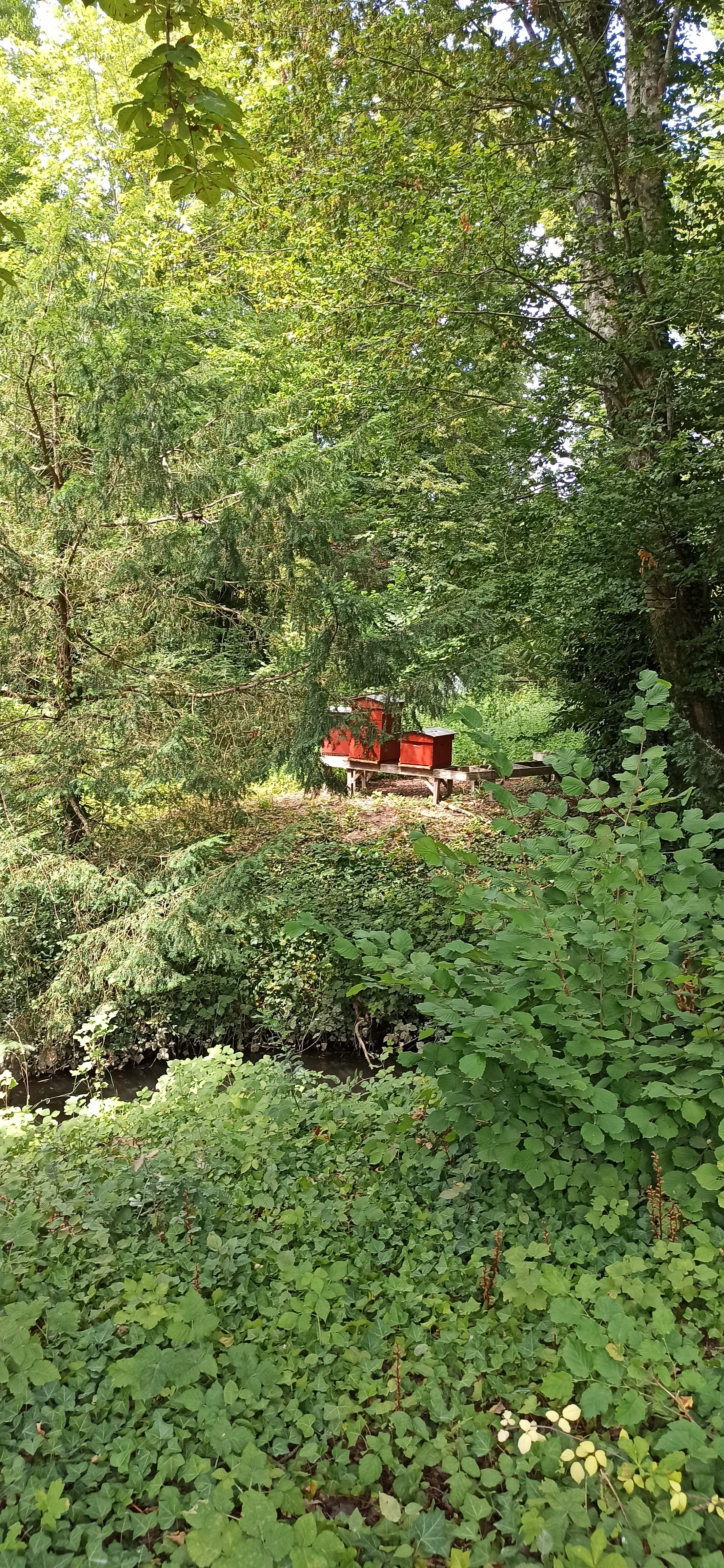 Photo n° 50 de l'avis de Patawin.e fait le 21/07/2023 à 11:31