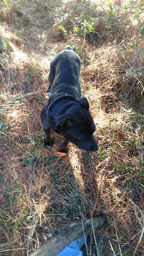 Golf Club «Longwood Golf Club», reviews and photos, 13300 Longwood Trace Dr, Cypress, TX 77429, USA