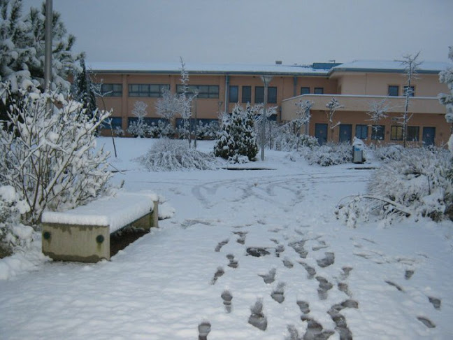 Δ.Ι.Κ.Ε.Π.Π.Ε.Ε Σταύρος Νιάρχος - Ιωάννινα