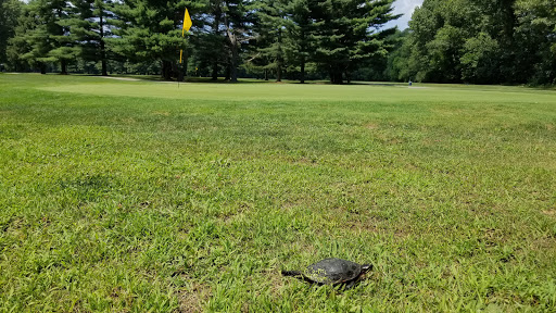 Golf Course «Robbinhurst Golf Club and Driving Range», reviews and photos, 383 W 875 N, Valparaiso, IN 46385, USA