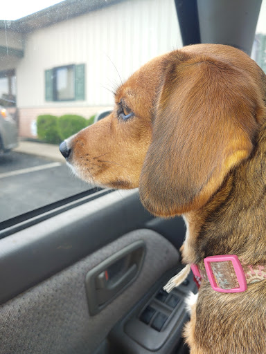 Fleming County Animal Hospital