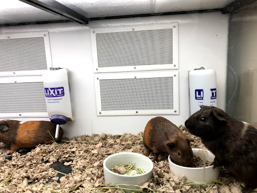 Pet Supply Store «Petco Animal Supplies», reviews and photos, 3975 Cascades Blvd #30, Kent, OH 44240, USA