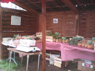 Corbineau Thierry Sarl à Saint-Aignan-Grandlieu