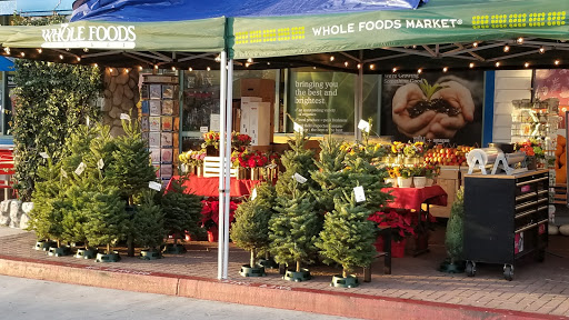 Shopping Mall «Redondo Shores Shopping Center», reviews and photos, 417 Pacific Coast Hwy, Redondo Beach, CA 90277, USA