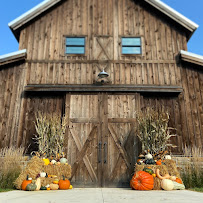 The Local Gardener Landscape Design & Construction Co. - Photo 6 - Car repair in , Columbus