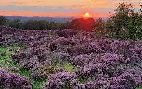 Stanton Moor image