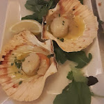 Photo n°1 de l'avis de simonetta.e fait le 01/05/2023 à 09:06 sur le  Ristorante Adriatico à Chioggia