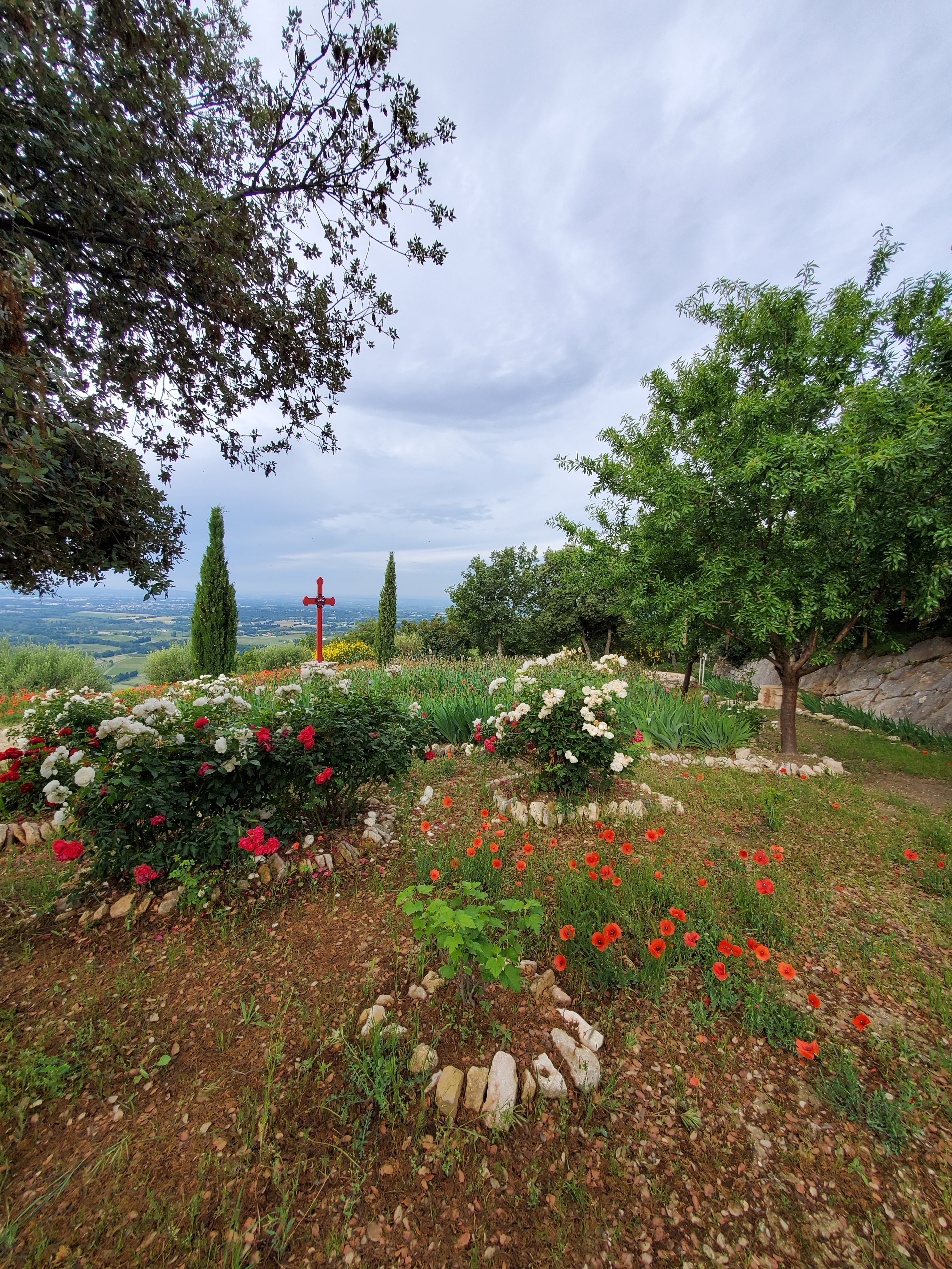 Photo n° 18 de l'avis de FRANÇOISE.O fait le 11/06/2020 à 16:59