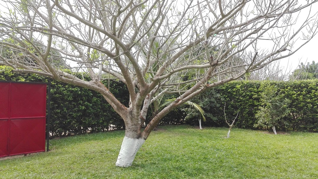 Finca La Bendicion De Dios