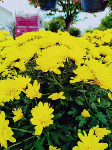 Home Improvement Store «The Home Depot», reviews and photos, 701 Nassau Park Blvd, Princeton, NJ 08540, USA