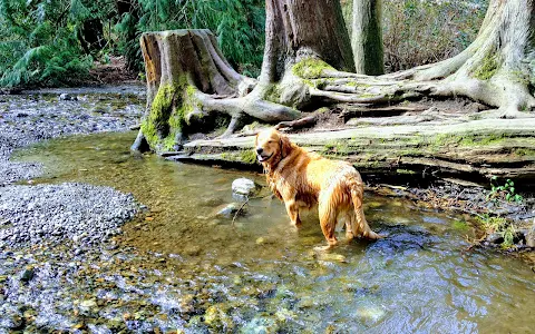 Dog Off Leash Park - Stoney Creek image