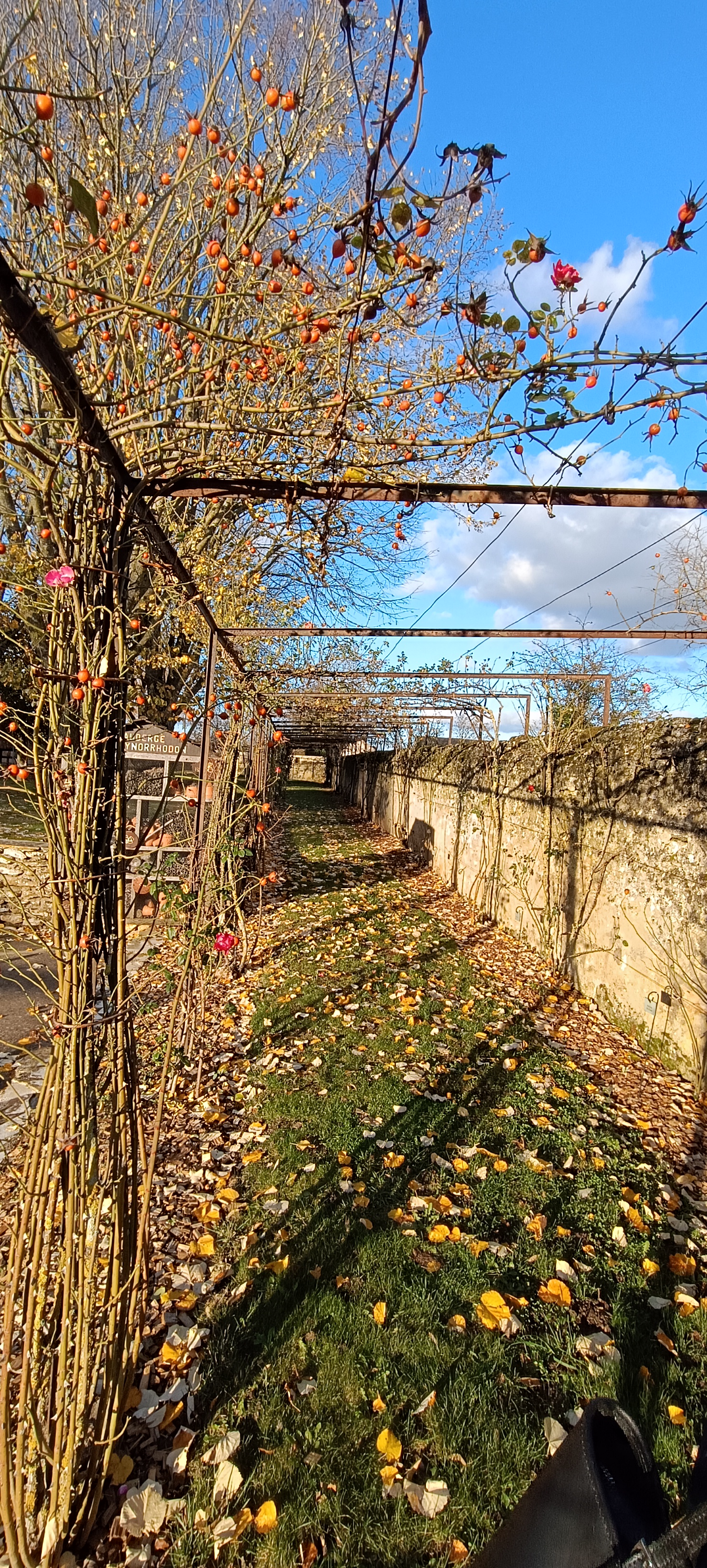 Photo n° 4 de l'avis de Frédéric.i fait le 25/11/2023 à 17:16