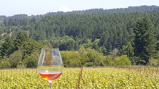 Winery «Raptor Ridge Winery», reviews and photos, 18700 SW Hillsboro Hwy, Newberg, OR 97132, USA