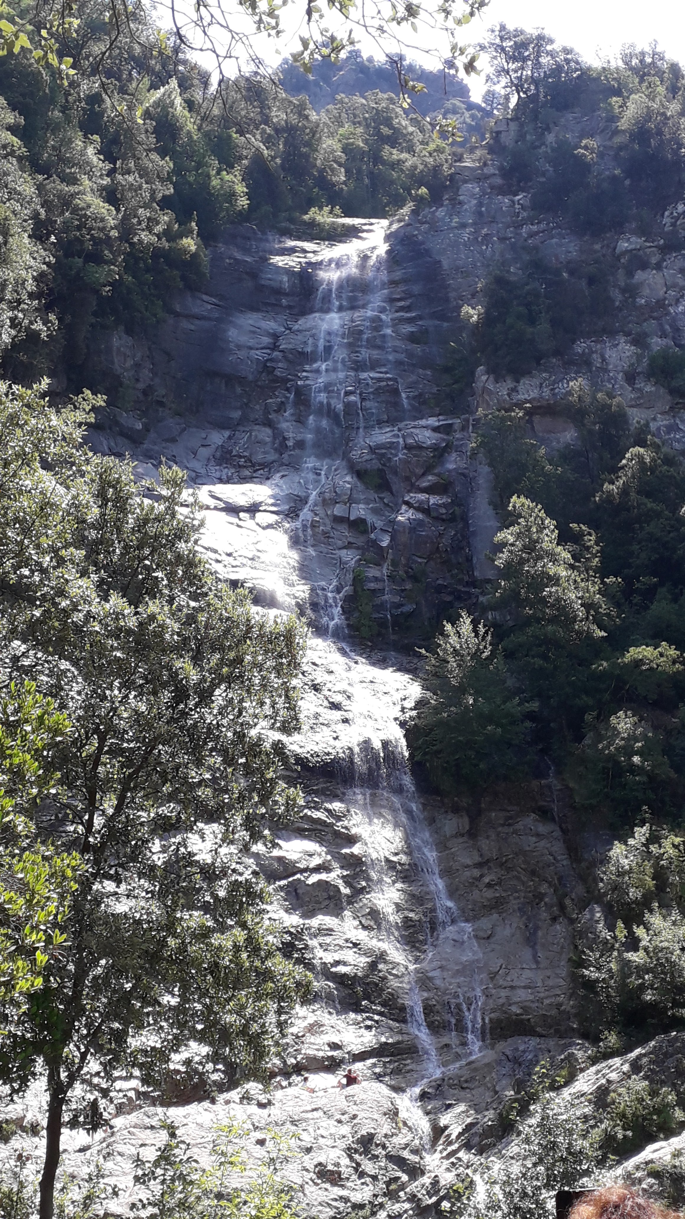 Photo n° 2 de l'avis de Alicia. fait le 18/07/2019 à 11:58