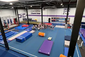 Flex Gymnastics | Ninja | Afterschool image