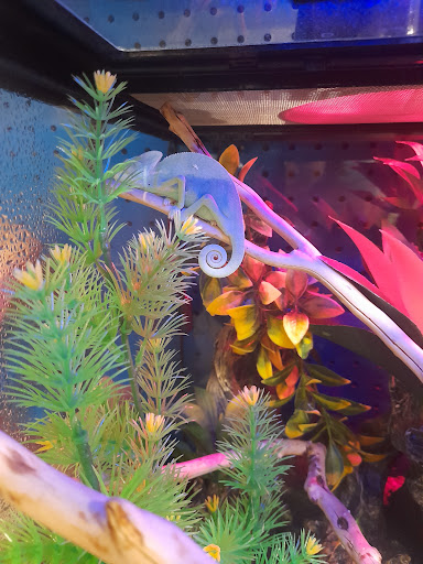 Pet Supply Store «PetSmart», reviews and photos, 1116 S Rochester Rd, Rochester Hills, MI 48307, USA