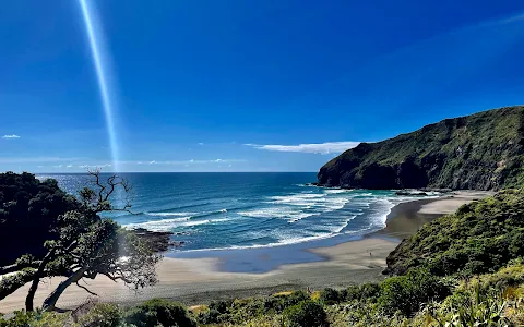 Te Henga Walkway Parking image