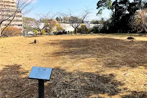 Site of Matsugasaki Castle image
