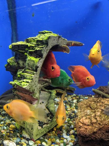 Shopping Mall «Cromwell Field Shopping Center», reviews and photos, 7383 Baltimore Annapolis Blvd, Glen Burnie, MD 21061, USA