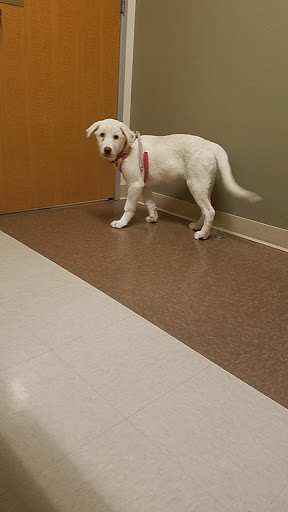 Muller Veterinary Hospital image