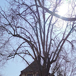 Photo n°2 de l'avis de Rolf.i fait le 20/03/2022 à 16:04 sur le  Gasthof Zum Bahnhof à Staufen