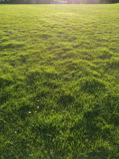 Park «Crossroads Water Spray Playground», reviews and photos, 999 165th Ave NE, Bellevue, WA 98008, USA