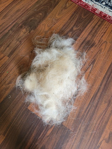 Pet Supply Store «Pet Supplies Plus», reviews and photos, 22124 Ecorse Rd, Taylor, MI 48180, USA