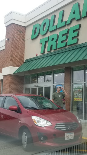 Dollar Store «Dollar Tree», reviews and photos, 950 American Legion Hwy, Boston, MA 02131, USA