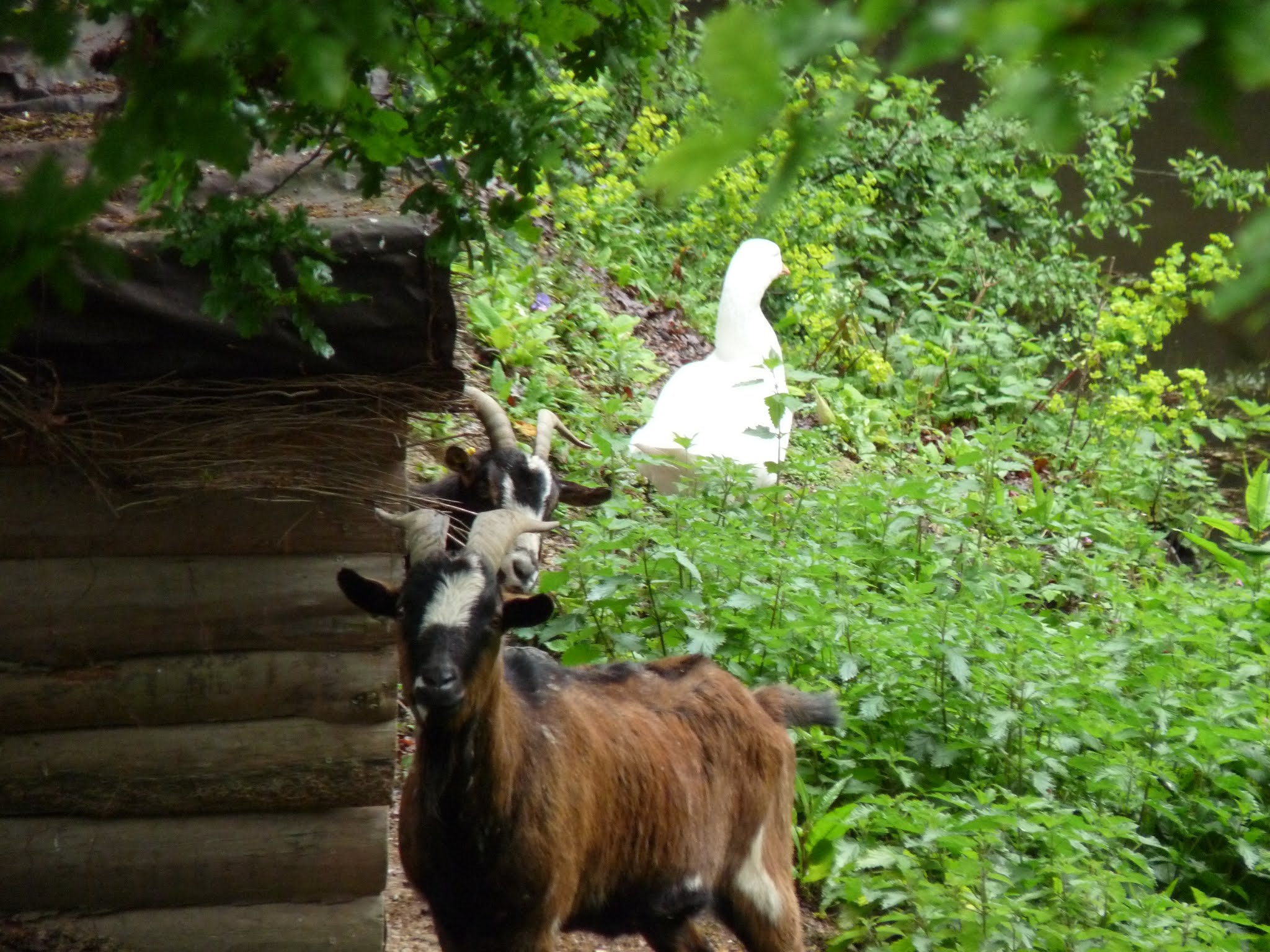Photo n° 15 de l'avis de Guillaume.i fait le 16/05/2019 à 19:52