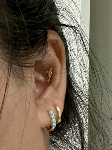 Explore dory tattoo ideas, creative tattoo ideas in Chapel Hill, available at Spica Body Piercing